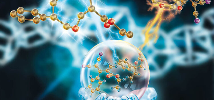 La science sous l’œil de la science (1/2)